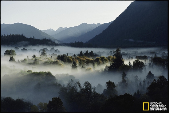 奧林匹克國家公園，華盛頓州攝影：Sam Abell，國家地理創(chuàng)意版