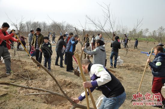 植樹(shù)活動(dòng)火熱進(jìn)行中