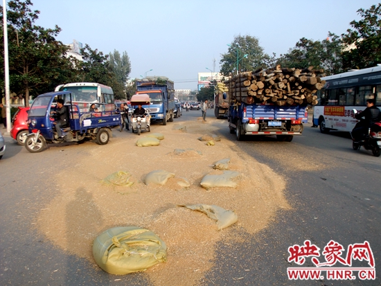 灑在路上的小麥