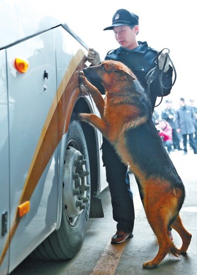 警犬巡查車上的可疑物品