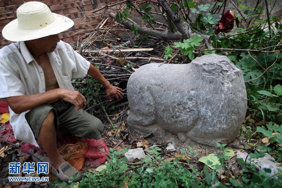 朝陽鎮后李村業余文保隊員，今年65歲的李連堂在上世紀平整土地時候，從地里挖出一個石羊殘身，至今仍放在