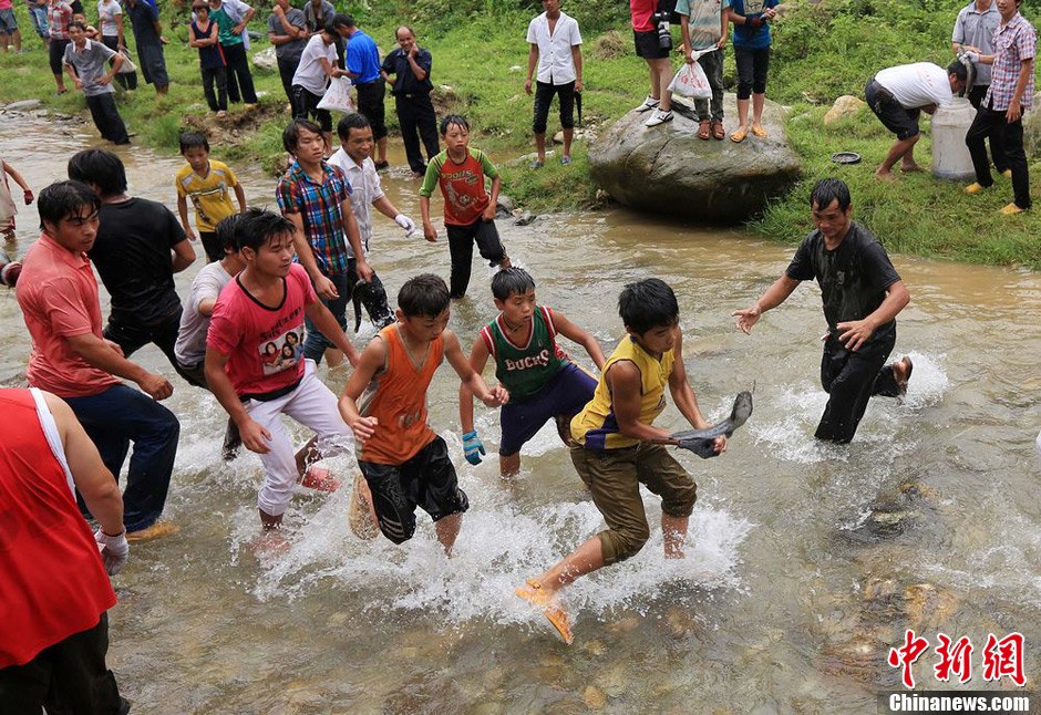 7月9日，村民在小河里摸魚搶魚。譚凱興 攝