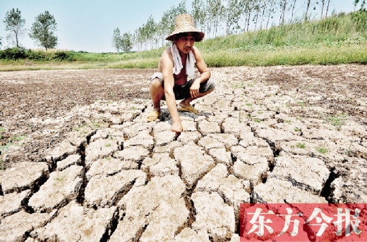 2009年至今“水鄉”信陽連續5年發生干旱