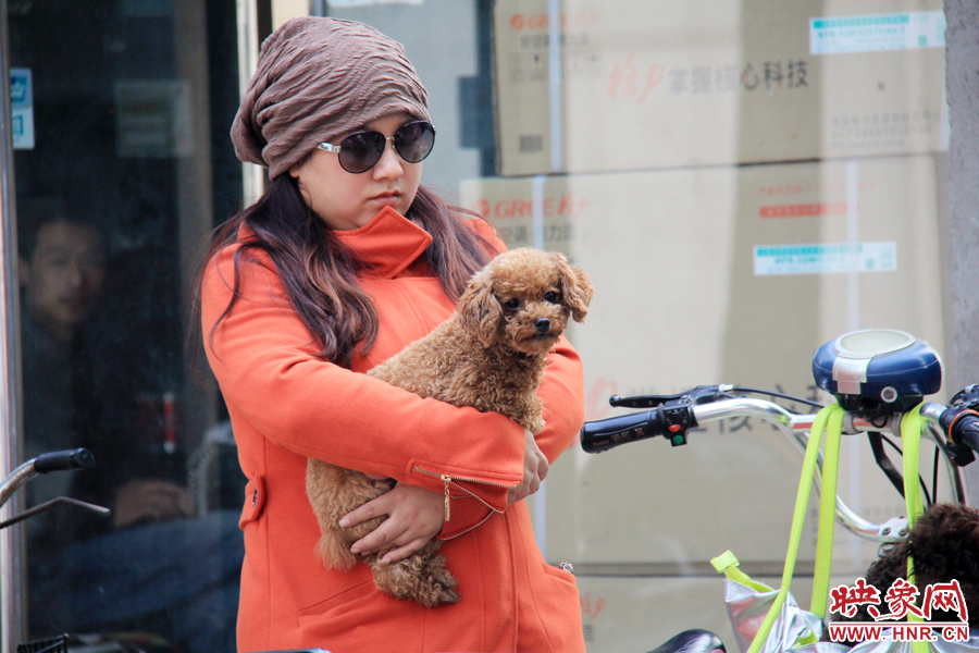 一名市民在抱著愛犬等待辦證