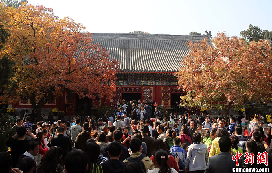 　10月26日，北京香山公園內游客摩肩接踵。