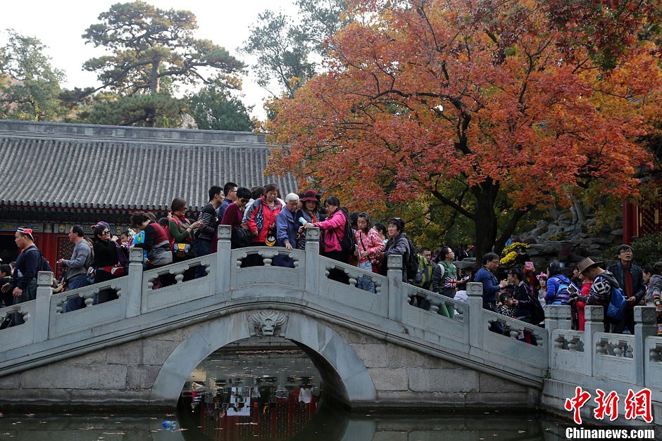 　10月26日，北京香山公園內游客摩肩接踵。