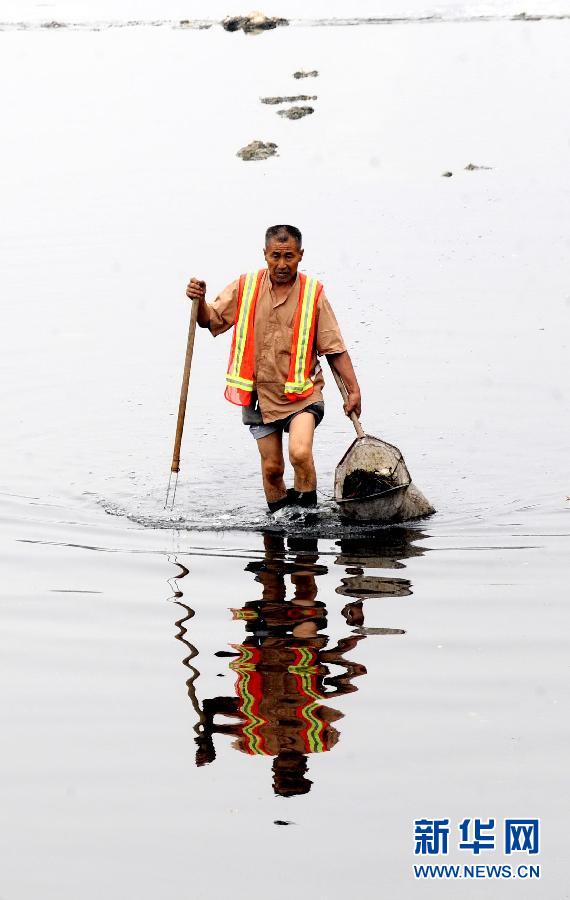 鄭州西流湖生態水系遭破壞