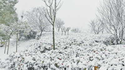 河南多地迎來今年首場降雪 部分地區今日雪停