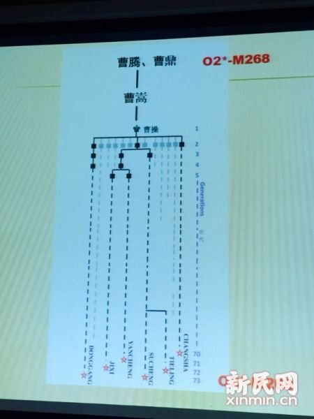 圖說：復旦課題組發布曹操家族DNA研究結果。新民網 記者 李欣 攝