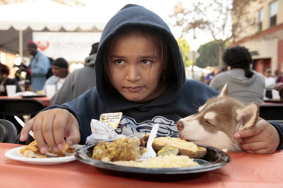 11月21日，加州洛杉磯的游民巷，12歲的堂娜·赫南德茲抱著愛犬“湯米”，安靜地吃著免費的感恩節飯菜