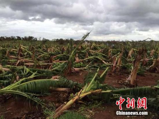 臺風“威馬遜”在越南肆虐引發泥石流 27人死亡