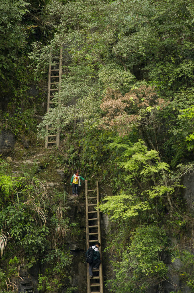 湖南一山村兒童每天需攀爬垂直天梯上學(圖)