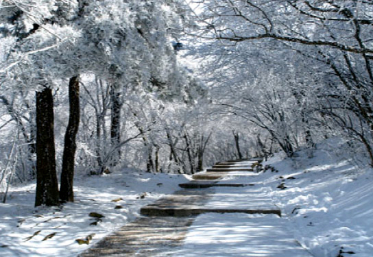 黃山景區冬季特色優惠相約黃山之巔看雪