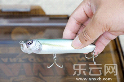 　　又稱擬餌釣魚,起源于歐洲,國內翻譯為“路亞”。