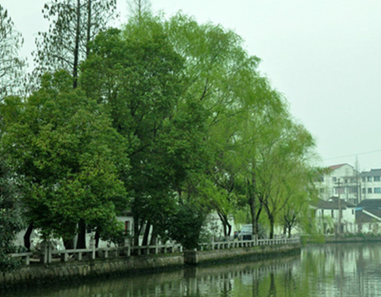 煙雨姑蘇城