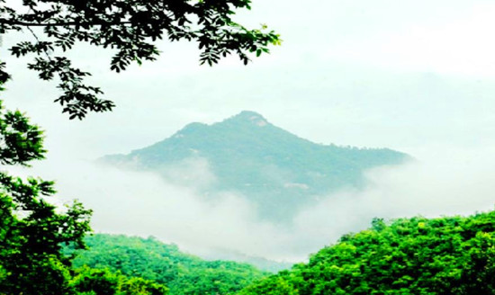 帶著媽媽去旅游 母親節河南景區感恩特惠