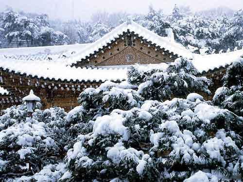 韓國冬季旅游的八大備忘