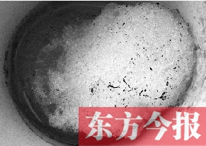 白雪融化時 灰霾現了形 兩會上“治霾”提案井噴