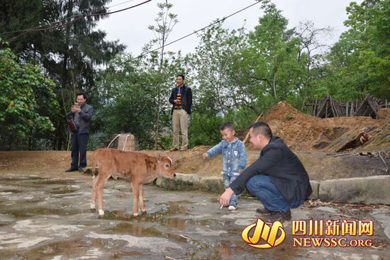 村里人知道后，前來看熱鬧