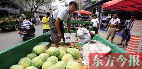 因為夜里睡太沉，來鄭州賣瓜的開封瓜農姚老漢不但丟錢還丟瓜