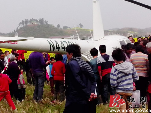 直升機主在空中賞花后停泊在油菜花旁的空地上