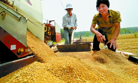 6月3日， 濮陽開發區胡村鄉后范莊村的續秀萍看著新打的粒大飽滿的小麥喜上眉梢。