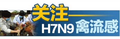 關(guān)注H7N9禽流感