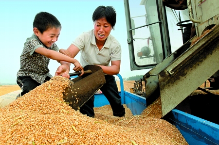 5月27日，確山縣劉店鎮(zhèn)前槽村郭景蓮和小孫子一起收獲小麥，豐收的喜悅寫(xiě)在了臉上。