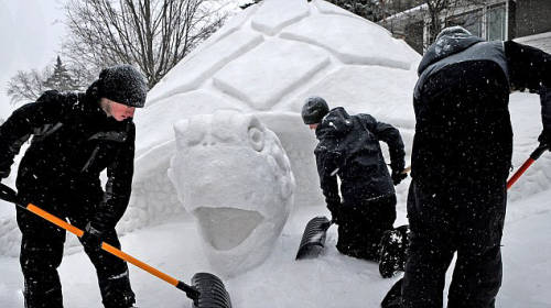 美三兄弟花300小時(shí)建巨龜雪人