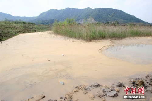 浙江紹興現“牛奶河”