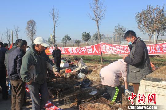 圖為百余名愛狗人士把老李的貨車攔截，數十人正在從貨車上卸下裝滿狗的鐵籠?！●R義恒　攝