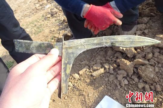 河南發掘戰國至東漢墓葬群 出土罕見青銅劍、戈（圖）