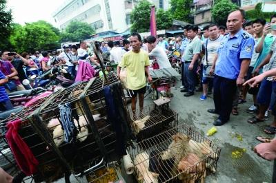 今天是廣西玉林狗肉節，市場上的攤販增加了數倍，城管也出動對市場上的占道行為進行規范 記者 劉暢 攝