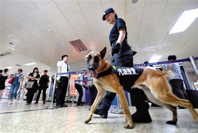 地鐵王府井站搜汽油警犬在安檢口巡邏。新京報記者 王貴彬 攝