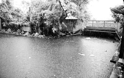 白云區棠樂路通往石槎路的一個鐵路橋底涵洞常被暴雨積水淹沒。《信息時報》供圖