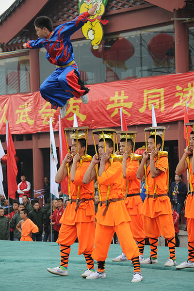 精彩的武術表演