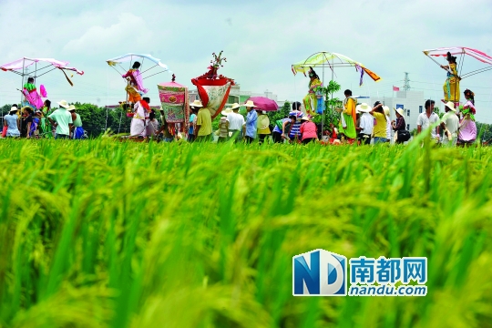 崖口村每年都在村里舉行飄色巡游活動。