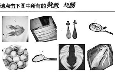 請惡補魷魚和章魚的區(qū)別