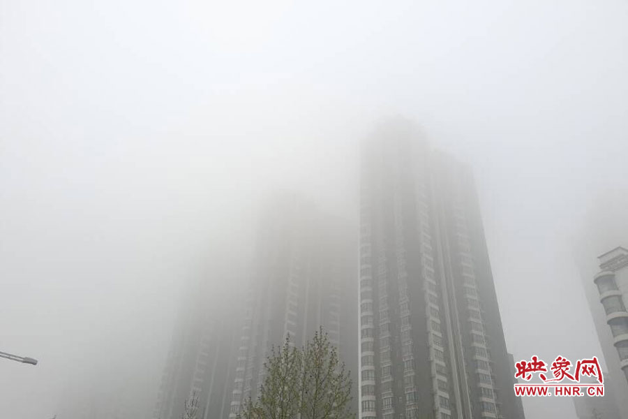 鄭州現大霧天氣，宛若仙境