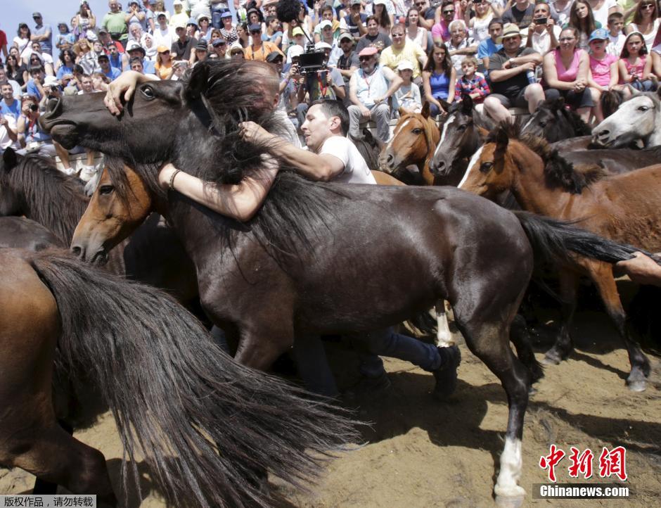 西班牙傳統野馬節火熱開賽 場面壯觀