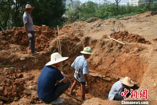 巖橋村廟山地區(qū)考古現(xiàn)場(chǎng)。　桐廬文管辦　攝