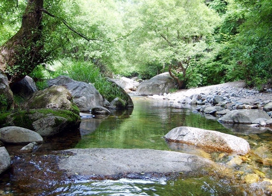 洛陽(yáng)老君山景區(qū)